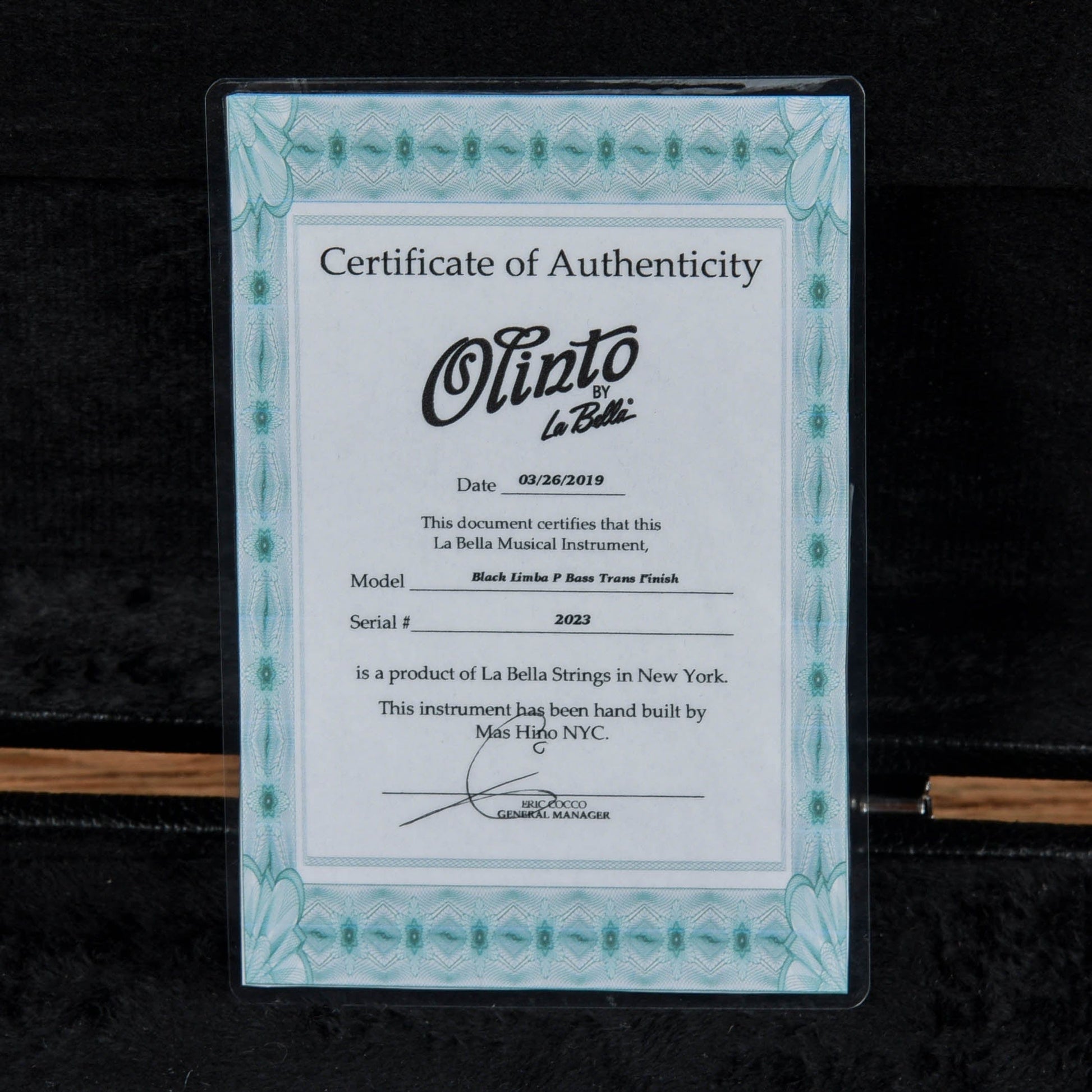 La Bella Olinto Black Limba Bass Transparent Matte w/Gold Anodized Pickguard Bass Guitars / 4-String