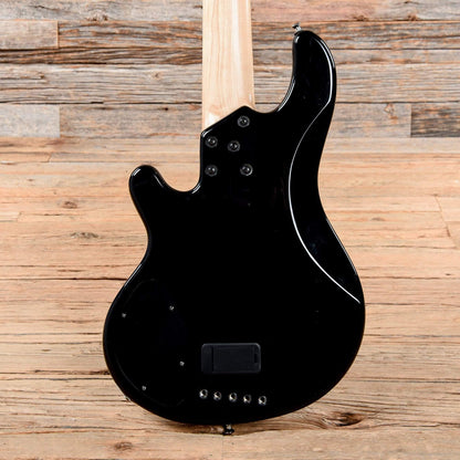 Lakland Skyline 55-01 Black Bass Guitars / 5-String or More