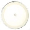 LP 11" Tricenter Synthetic Conga Head Drums and Percussion / Parts and Accessories / Heads