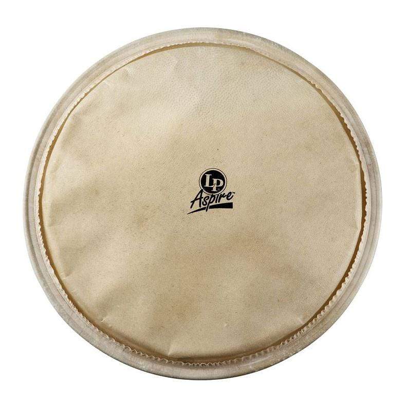 LP 12.5" Aspire Djembe Head Drums and Percussion / Parts and Accessories / Heads