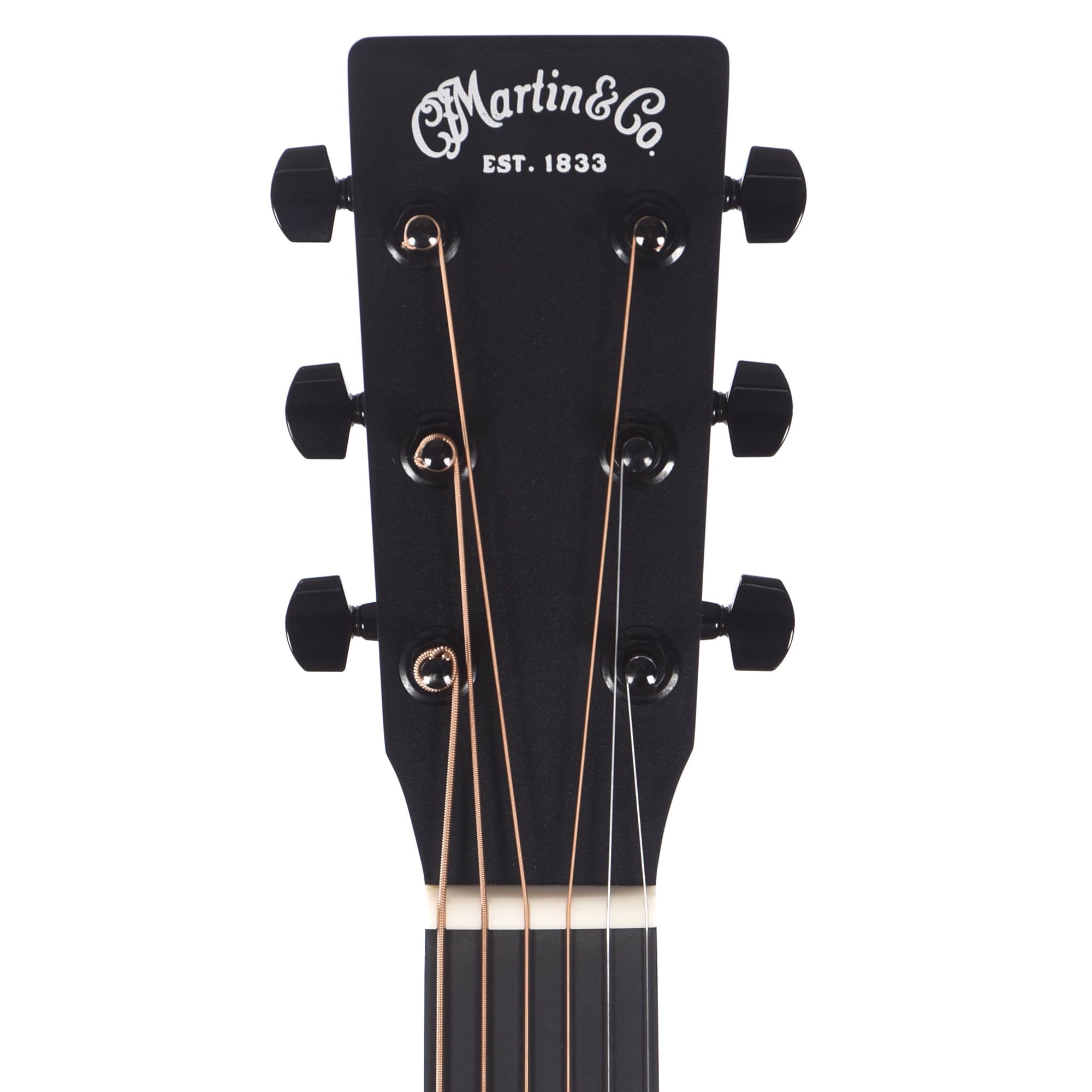 Martin D-12E FG Sitka/Koa Veneer w/Fishman MX-T Acoustic Guitars / Dreadnought