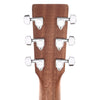 Martin D-X2E Sapele/Macassar HPL Natural w/Fishman MX Acoustic Guitars / Dreadnought