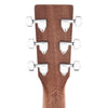 Martin D-X2E Sitka/Mahogany HPL Natural w/Fishman MX Acoustic Guitars / Dreadnought