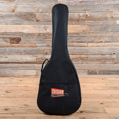 Martin D12X1AE Natural 2010 Acoustic Guitars / Dreadnought