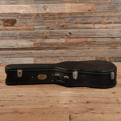 Martin DX1AE Macassar Burst Acoustic Guitars / Dreadnought