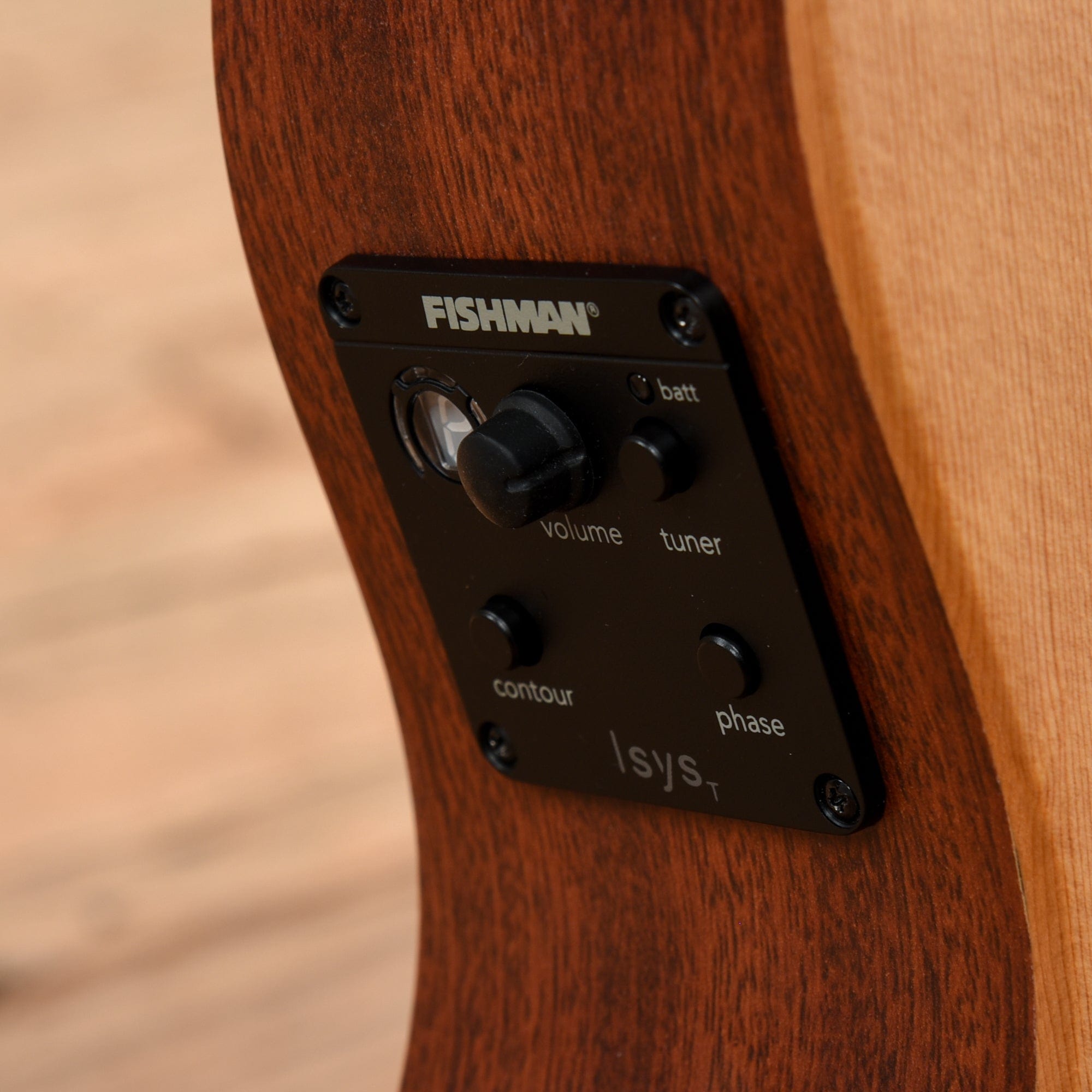 Martin LX1E Natural Acoustic Guitars / Mini/Travel