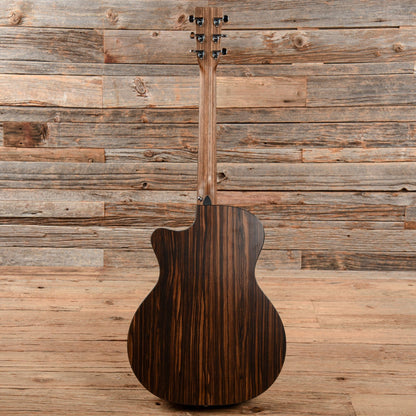 Martin GPCX2AE Macassar Natural 2016 Acoustic Guitars / OM and Auditorium