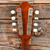 Martin Style 2-15 Mandolin Sunburst 1965 Folk Instruments / Mandolins