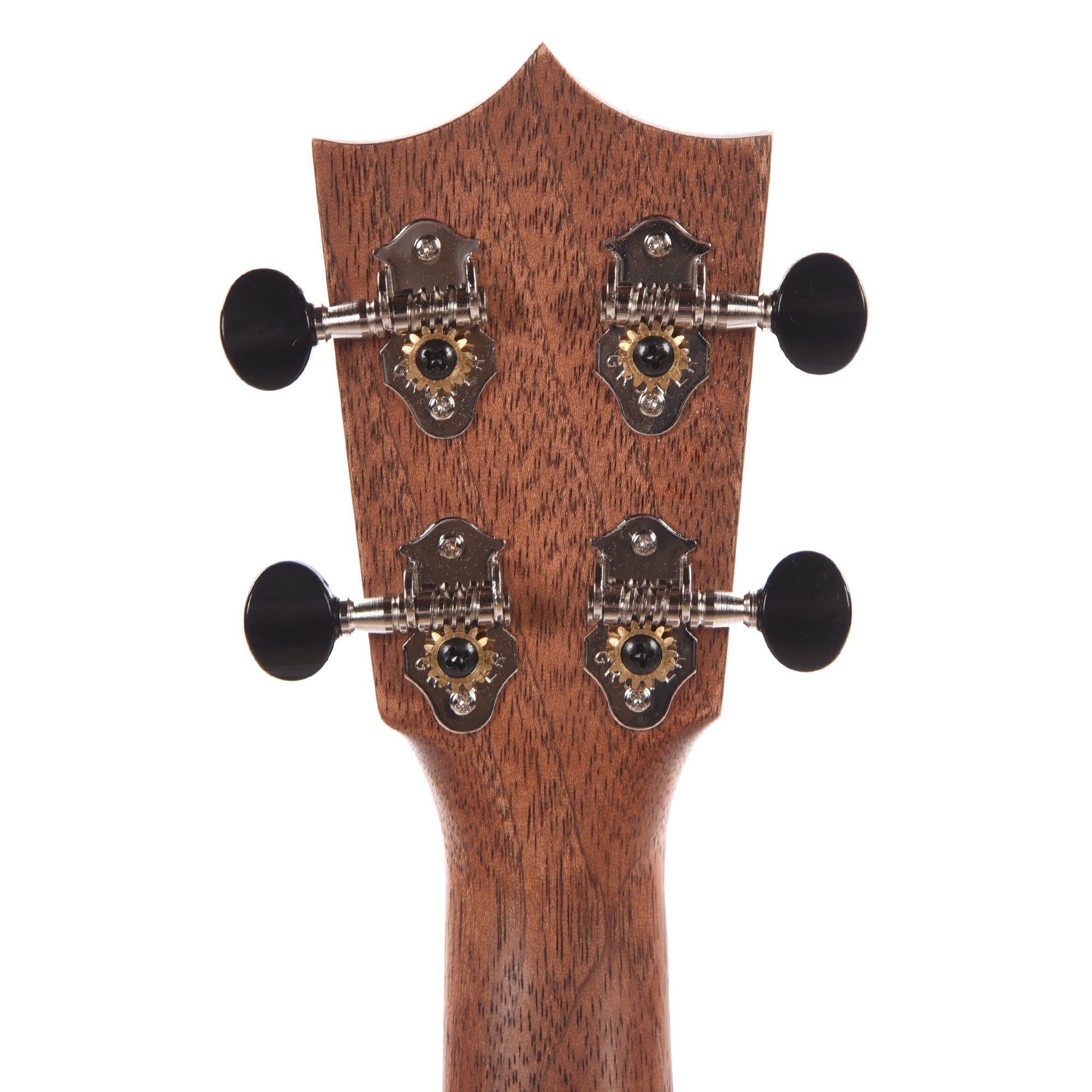 Martin TKE Uke Tenor Ukulele Koa/Koa Natural Folk Instruments / Ukuleles