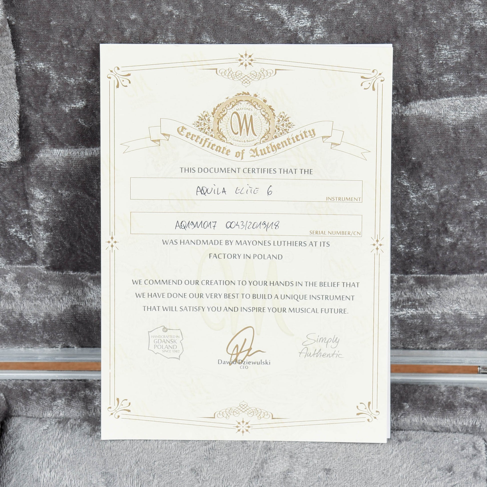 Mayones Aquila HSS Black Gradient Electric Guitars / Solid Body