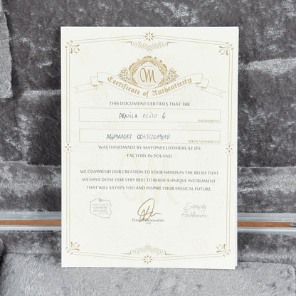 Mayones Aquila HSS Black Gradient Electric Guitars / Solid Body