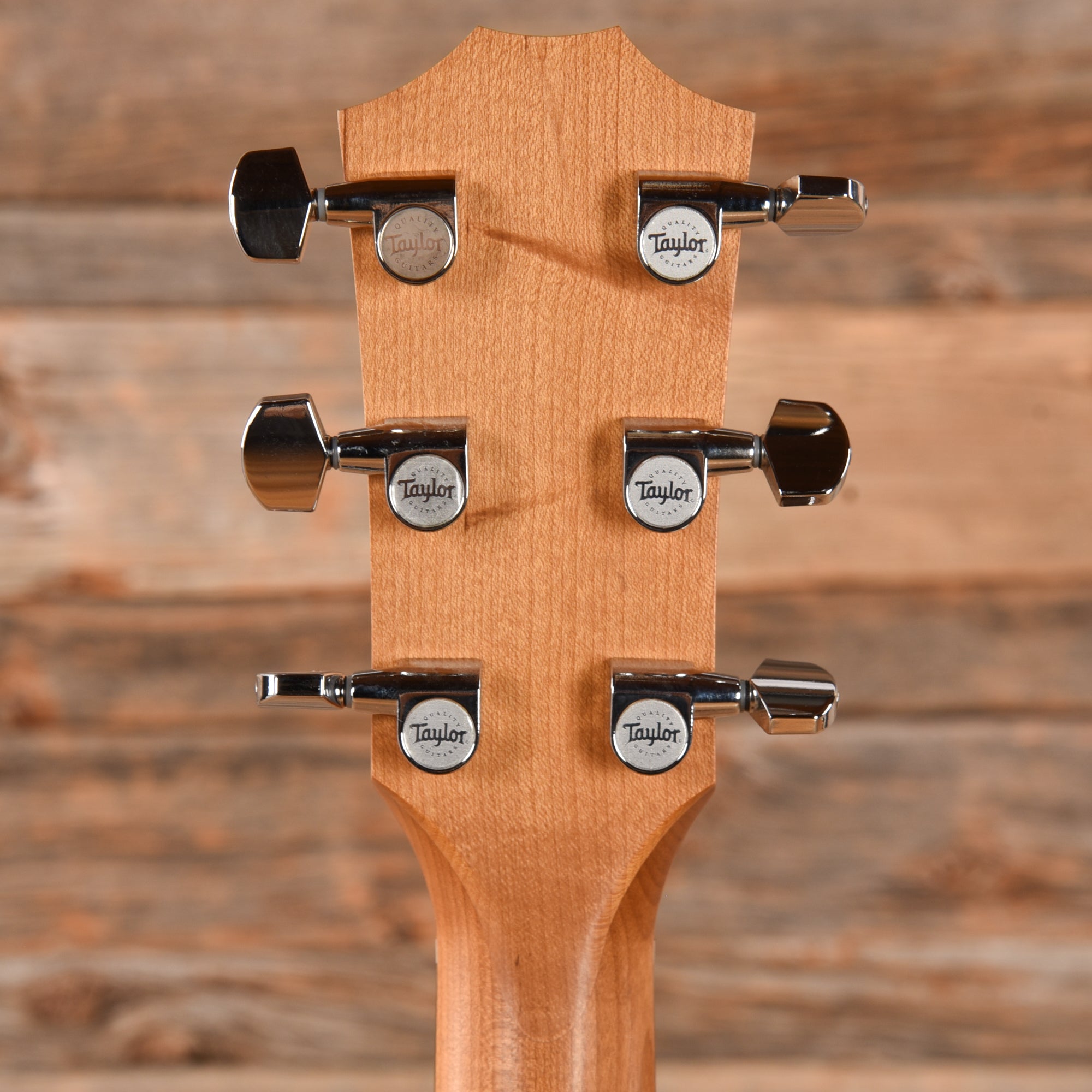 Taylor Academy 10e Dreadnought Sitka/Sapele Maple Neck ES-B