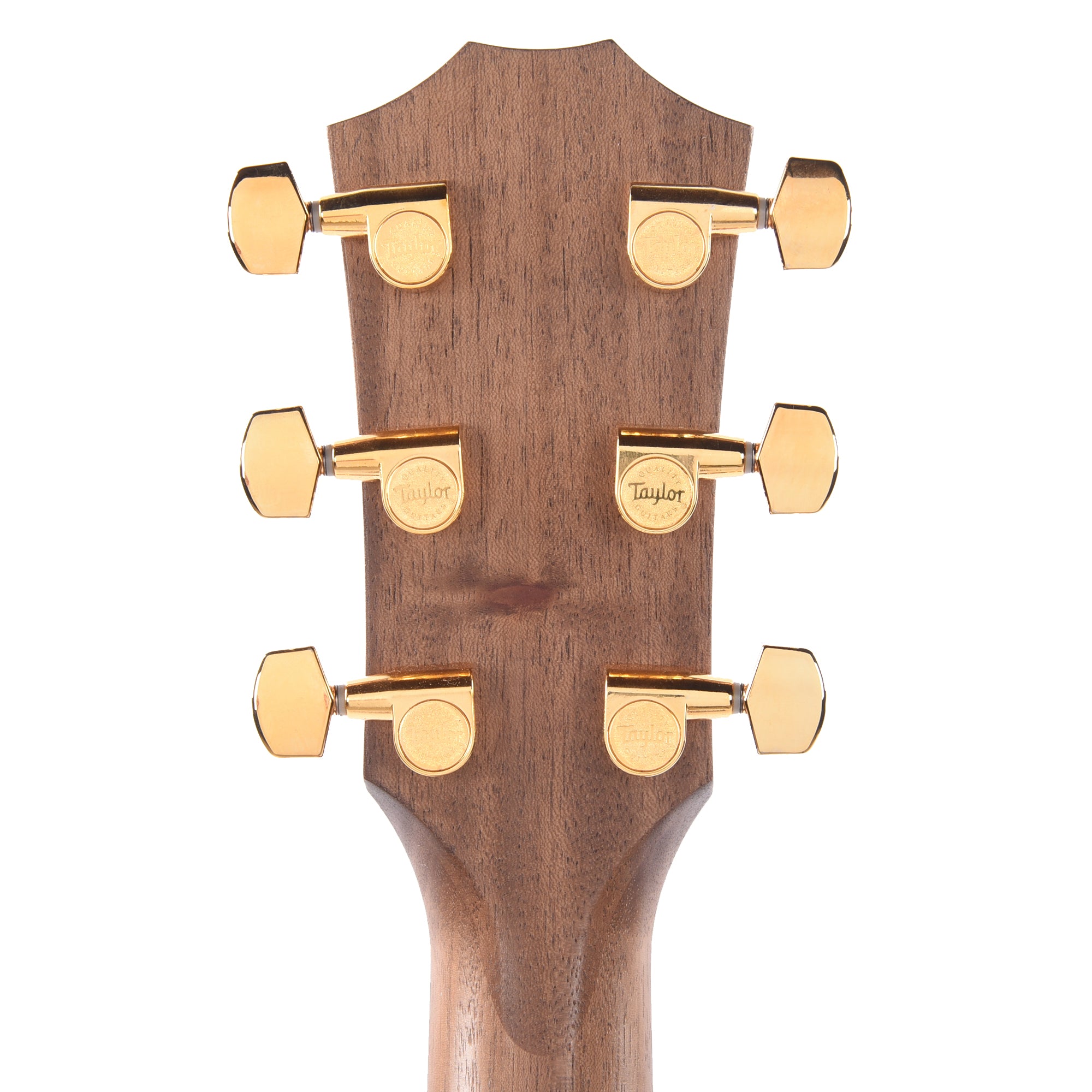 Taylor Limited 50th Anniversary AD14ce-SB Grand Auditorium Spruce/Walnut Tobacco Sunburst