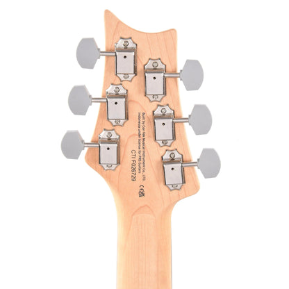 PRS SE Silver Sky Storm Gray