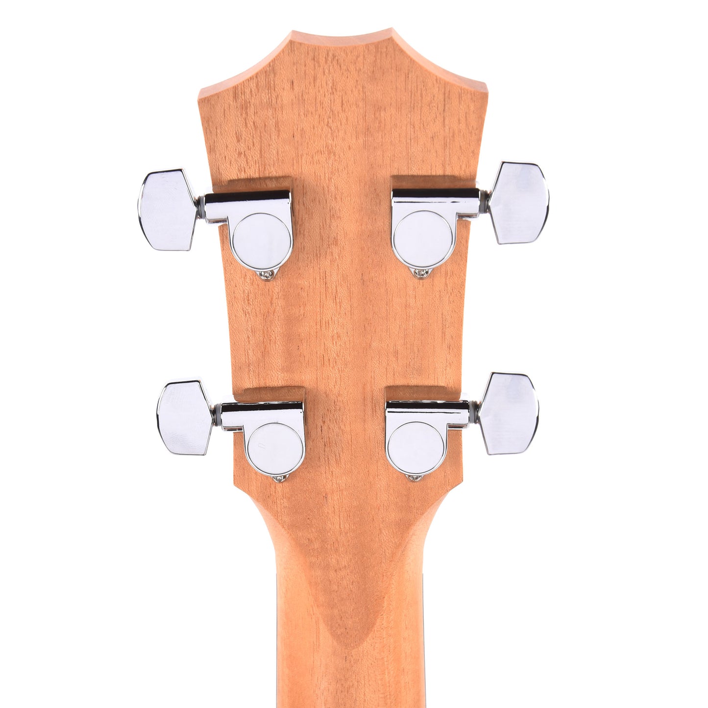 Taylor GS Mini-e Bass Torrefied Sitka/Sapele Natural ES-B