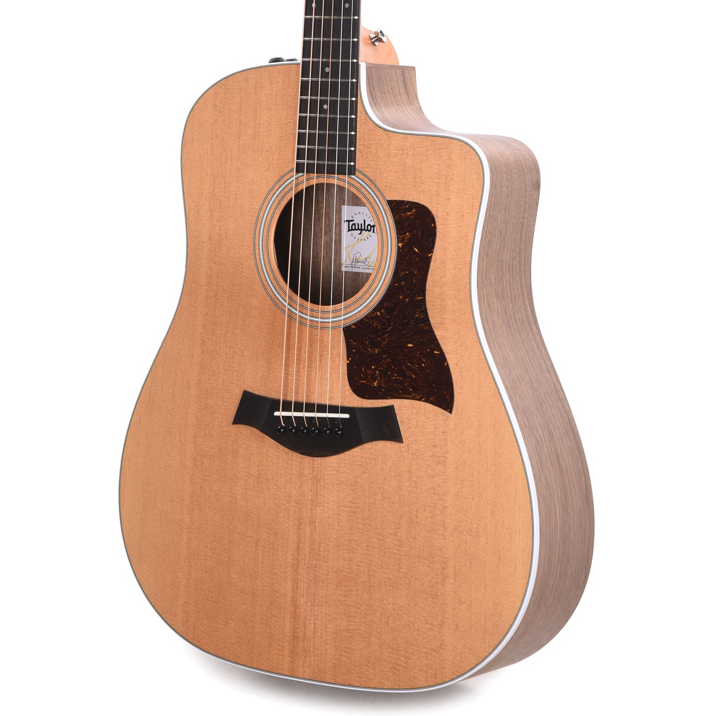 Taylor 210ce Dreadnought Torrified Spruce/Rosewood Natural ES2