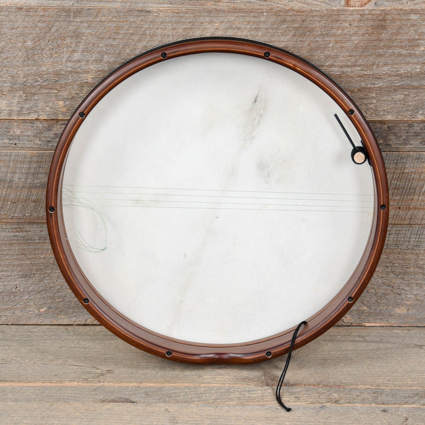 Meinl Bendir with True Feel Synthetic Head Drums and Percussion / Auxiliary Percussion