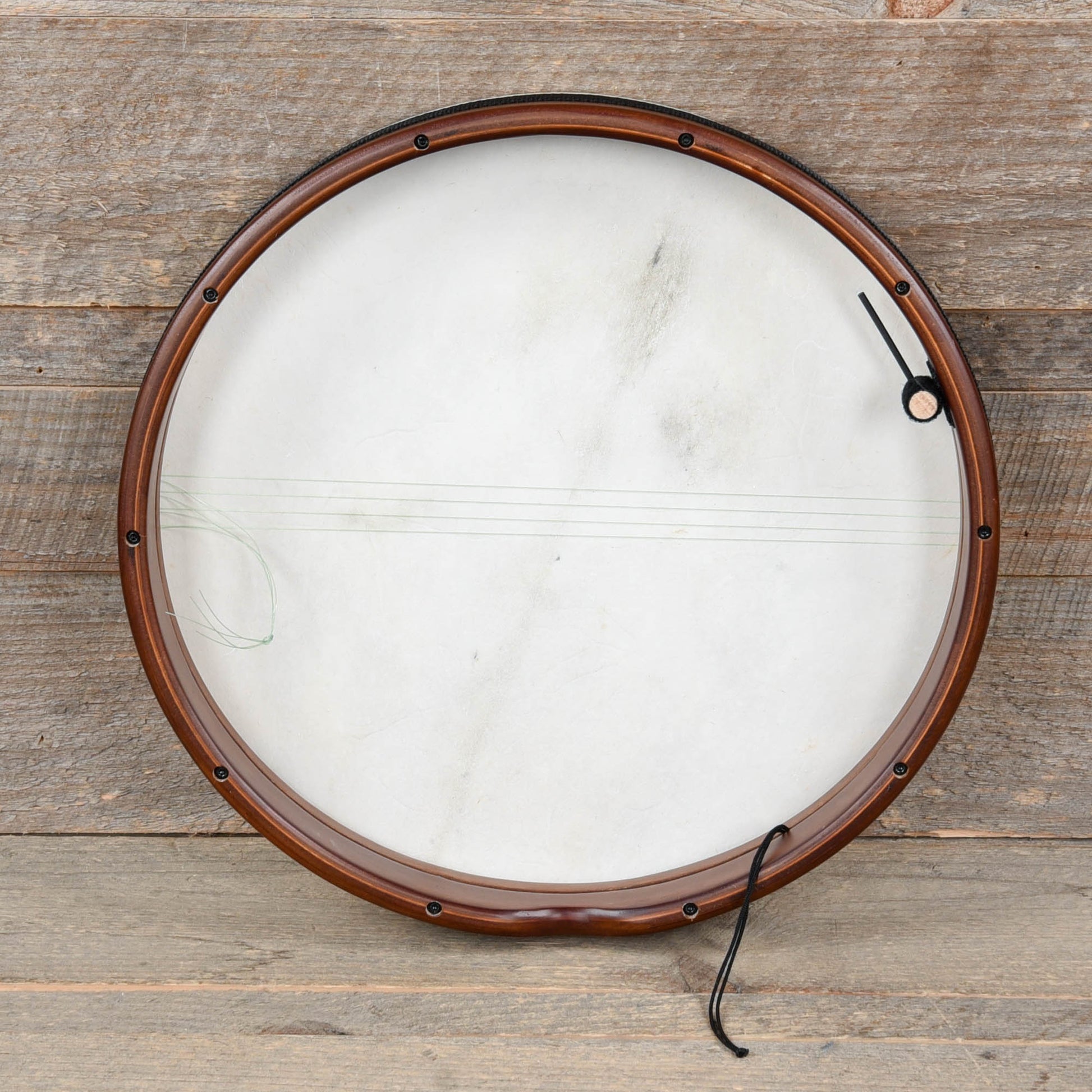 Meinl Bendir with True Feel Synthetic Head Drums and Percussion / Auxiliary Percussion