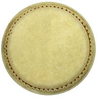 Meinl 8" Rawhide Conguita Drumhead Drums and Percussion / Parts and Accessories / Heads