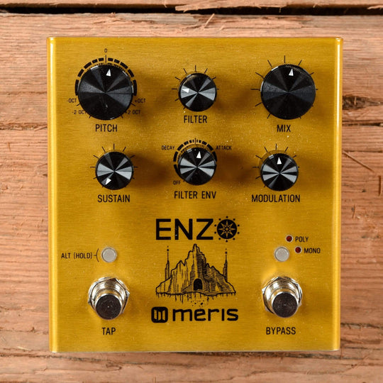 Meris Multi-Voice Synthesizer Pedal Effects and Pedals / Noise Generators