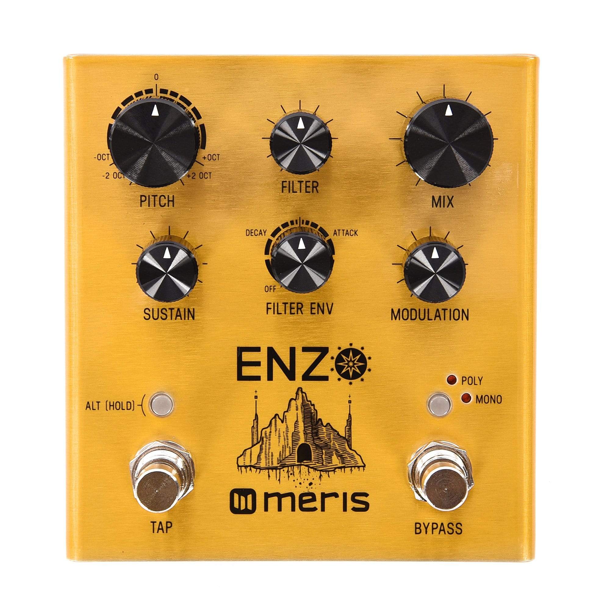 Meris Enzo Multi-Voice Synthesizer Pedal