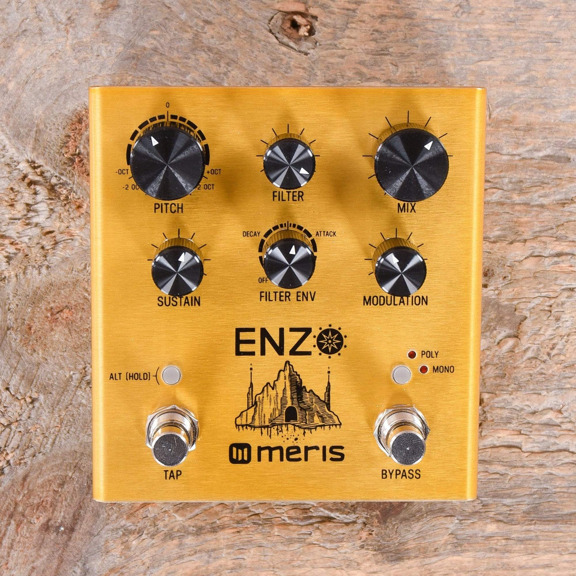 Meris Enzo Multi-Voice Synthesizer Pedal