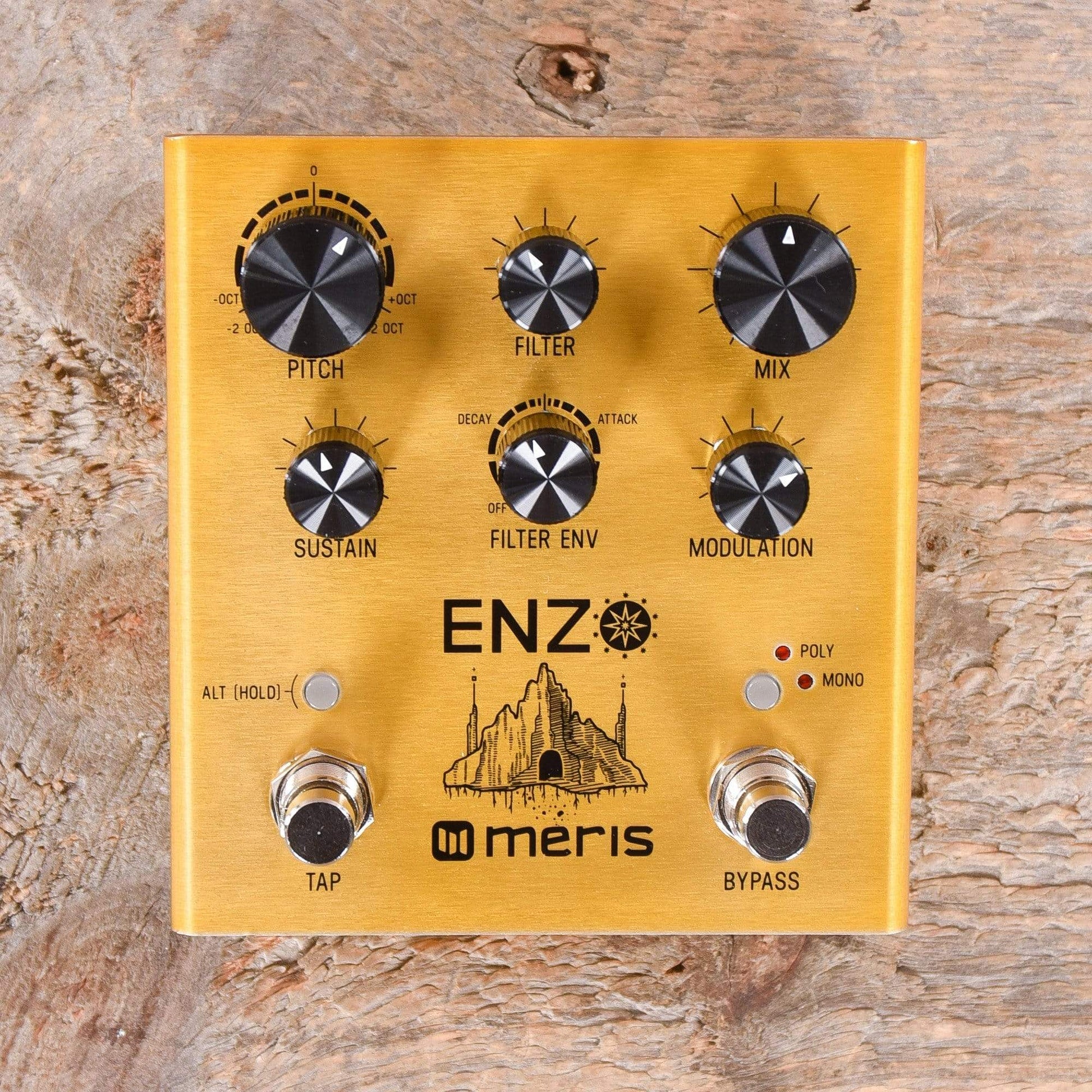 meris enzo synth pedal Meris Enzo Multi-Voice Synthesizer Pedal – Chicago Music Exchange