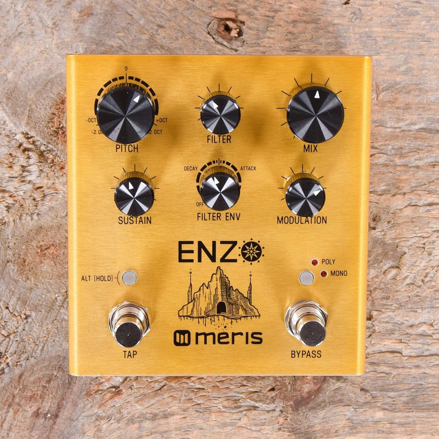 Meris Enzo Multi-Voice Synthesizer Pedal Effects and Pedals / Octave and Pitch