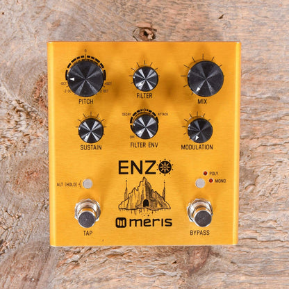 Meris Enzo Multi-Voice Synthesizer Pedal Effects and Pedals / Octave and Pitch