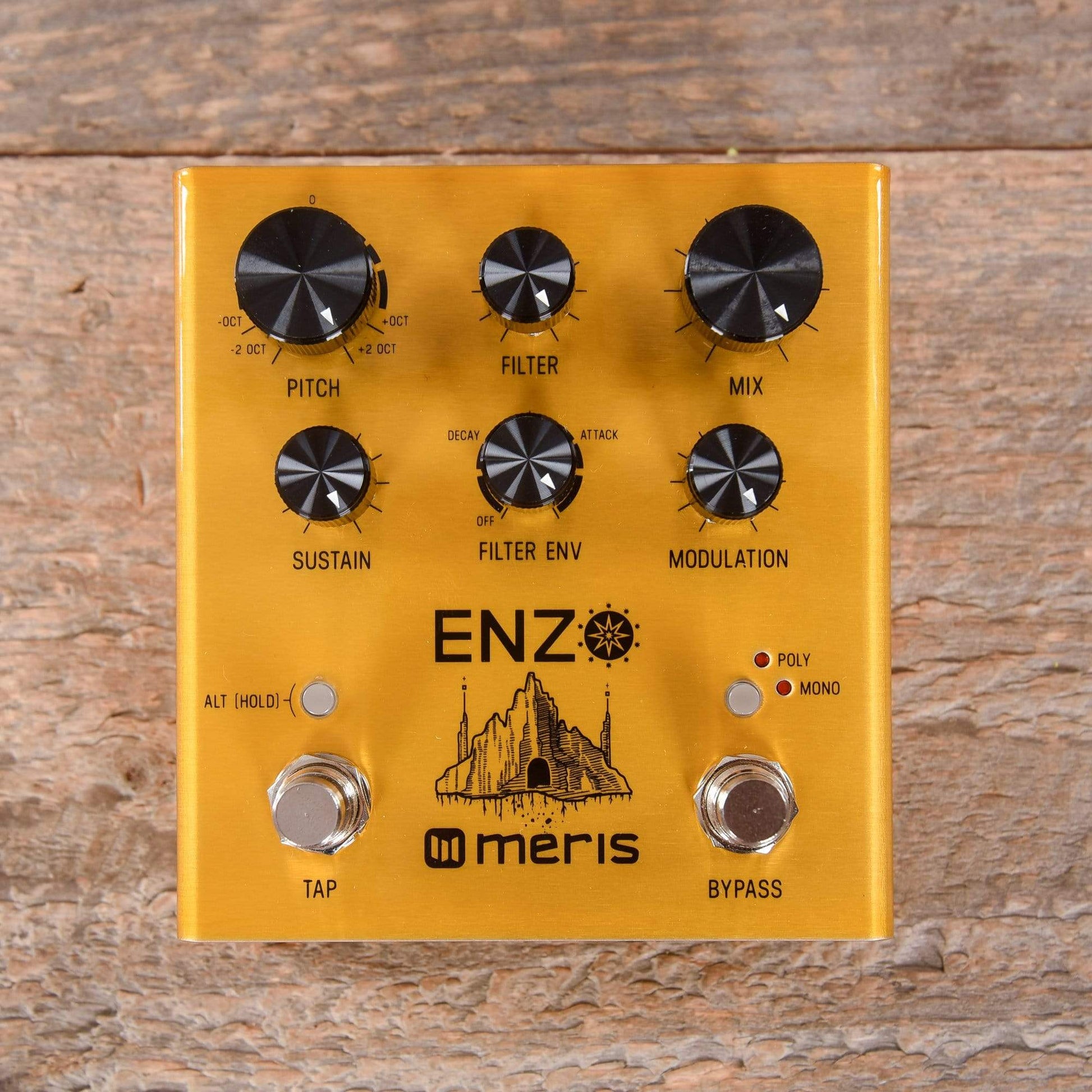 Meris Enzo Multi-Voice Synthesizer Pedal Effects and Pedals / Octave and Pitch