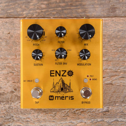 Meris Enzo Multi-Voice Synthesizer Pedal Effects and Pedals / Octave and Pitch