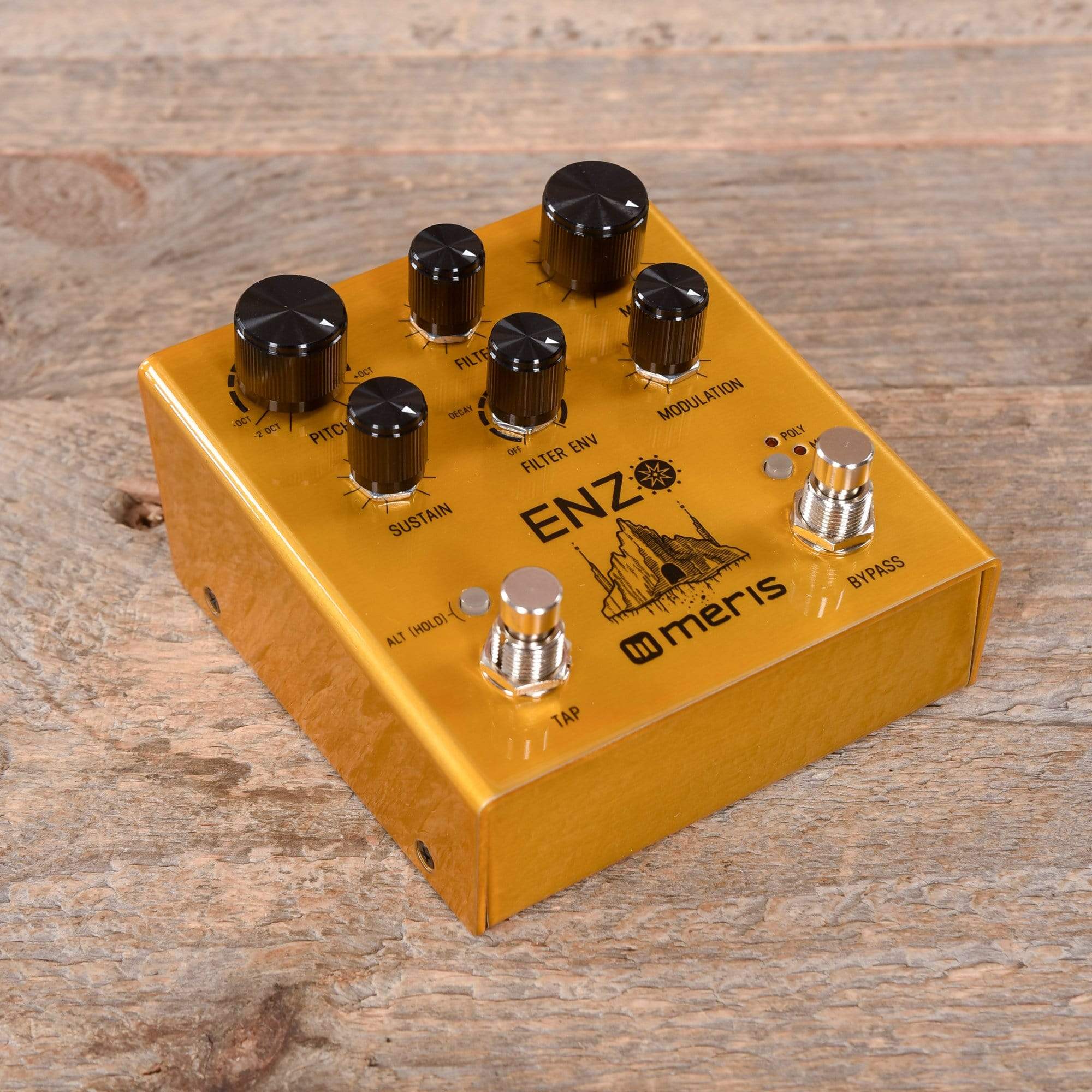 Meris Enzo Multi-Voice Synthesizer Pedal Effects and Pedals / Octave and Pitch