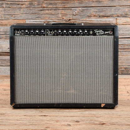Miscellaneous Twin Reverb Copy  1970s Amps / Guitar Combos