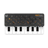 Modal Electronics SKULPT SE 4 Voice Virtual Analog Synthesizer Keyboards and Synths / Synths / Analog Synths