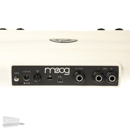 Moog Theremini Keyboards and Synths / Synths / Analog Synths