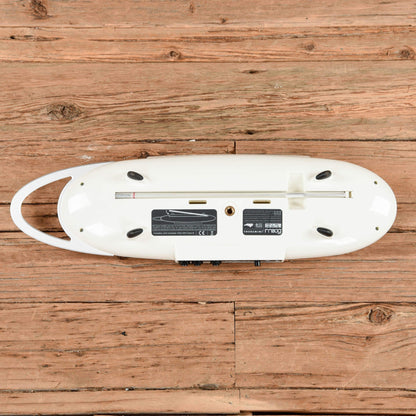 Moog Theremini Keyboards and Synths / Synths / Analog Synths