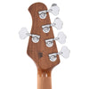 Music Man StingRay5 Special H Snowy Night w/Roasted Maple Neck Bass Guitars / 5-String or More