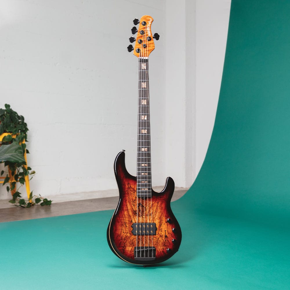 Music Man 35th Anniversary StingRay5 Spalt Top