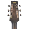 National ResoLectric Revolver Acoustic Guitars / Resonator
