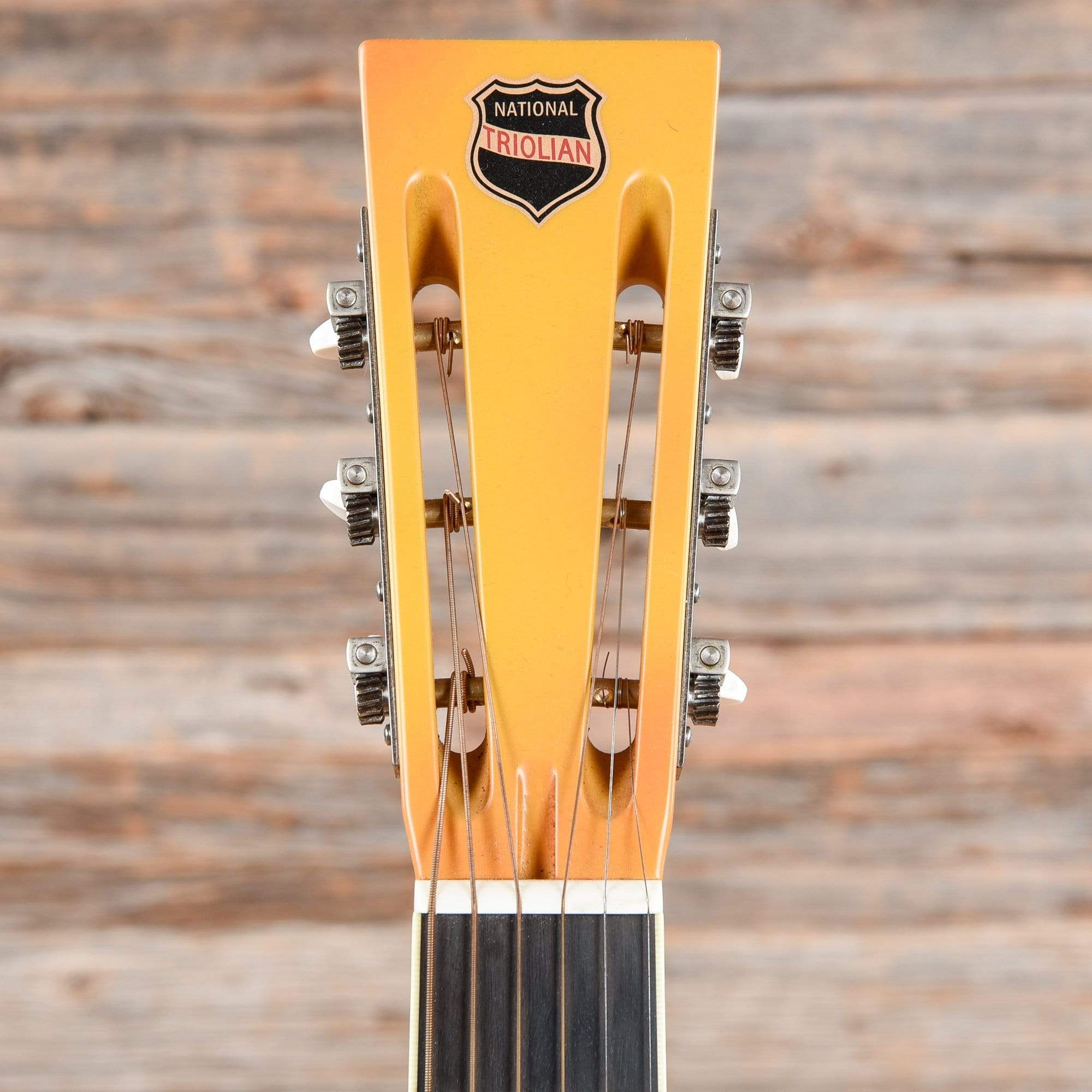 National Trolian Polychrome Acoustic Guitars / Resonator