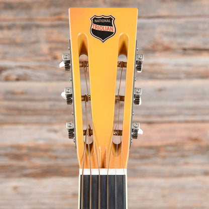 National Trolian Polychrome Acoustic Guitars / Resonator