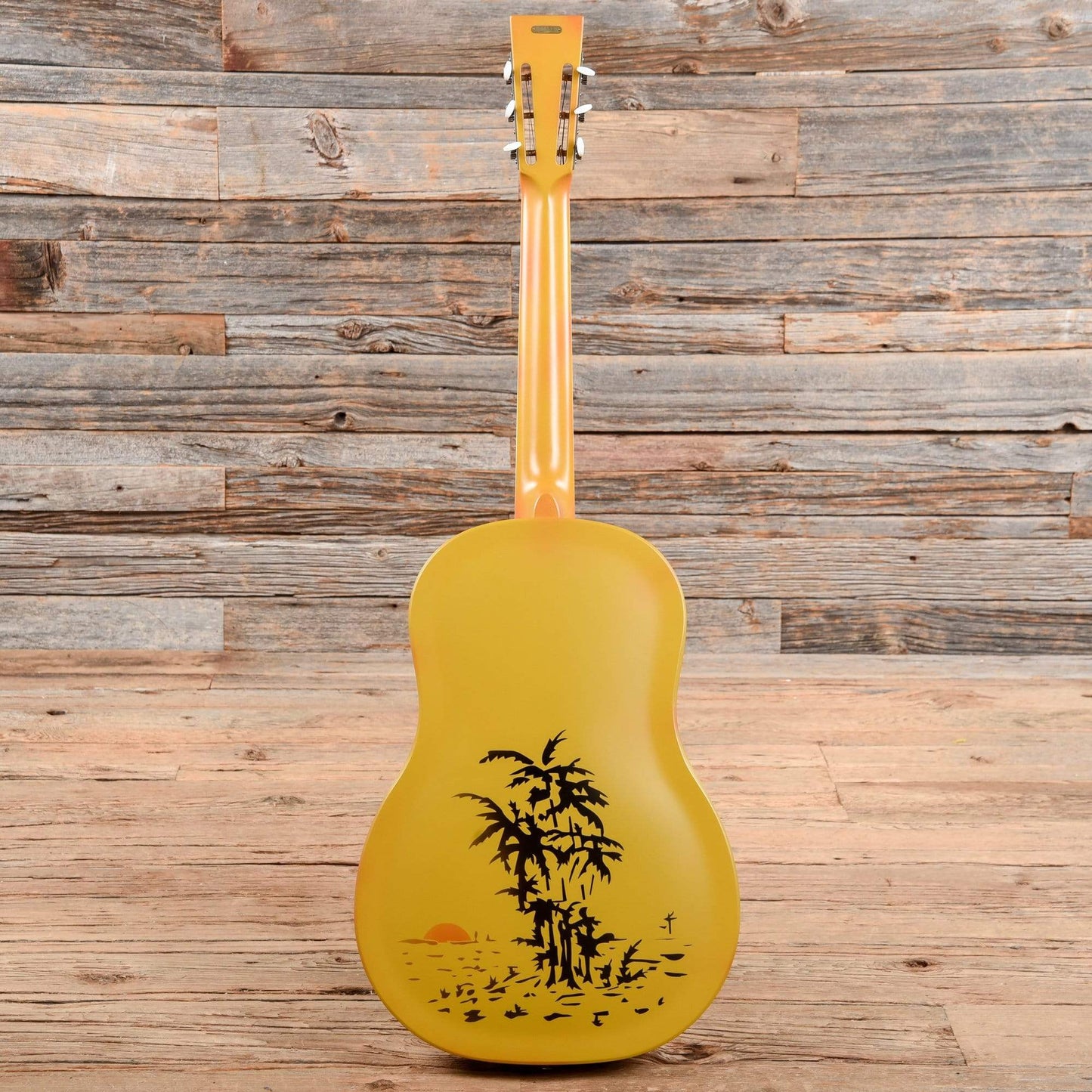 National Trolian Polychrome Acoustic Guitars / Resonator