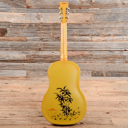 National Trolian Polychrome Acoustic Guitars / Resonator