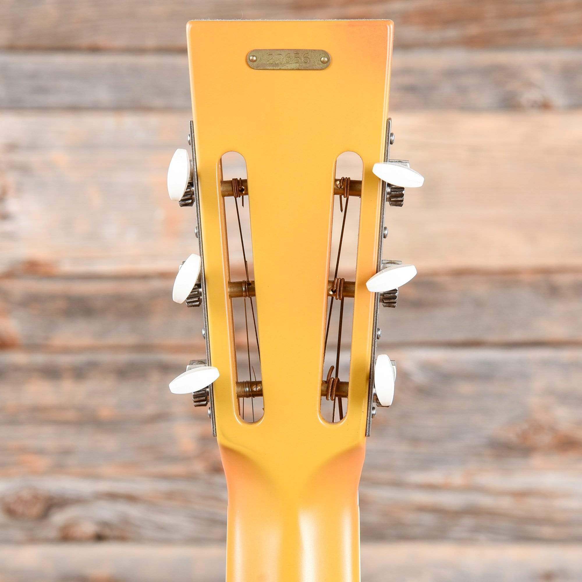 National Trolian Polychrome Acoustic Guitars / Resonator