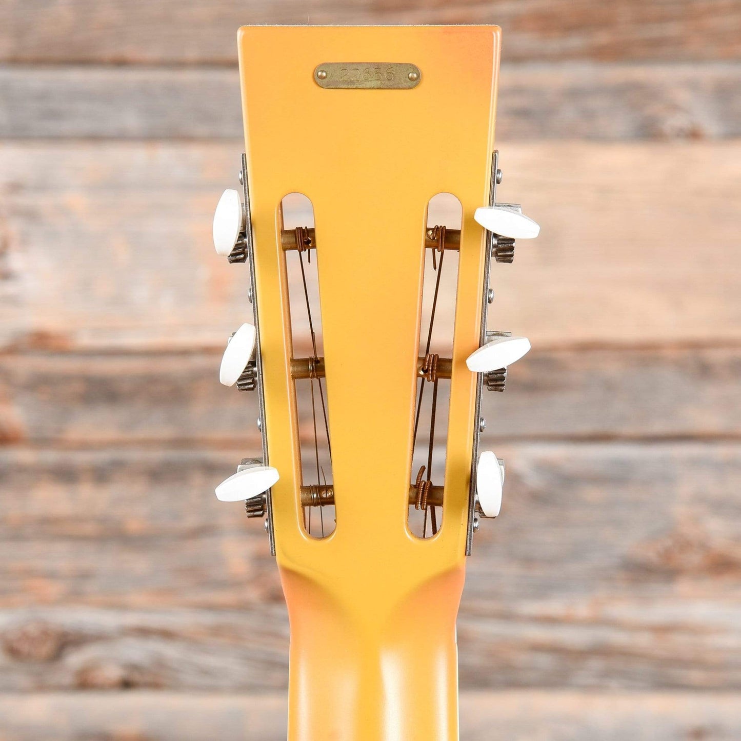 National Trolian Polychrome Acoustic Guitars / Resonator