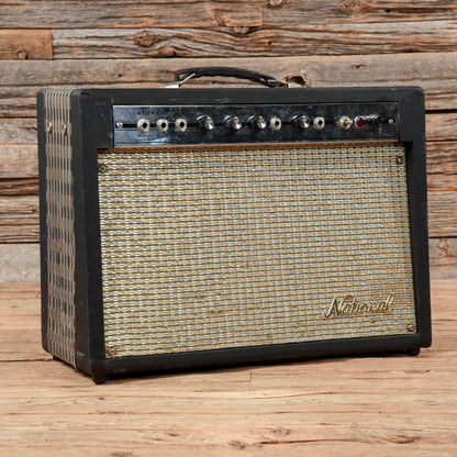 National N6422TR  1966 Amps / Guitar Cabinets