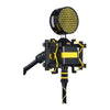 Neat Microphones Worker Bee Cardioid Condenser Microphone Pro Audio / Microphones