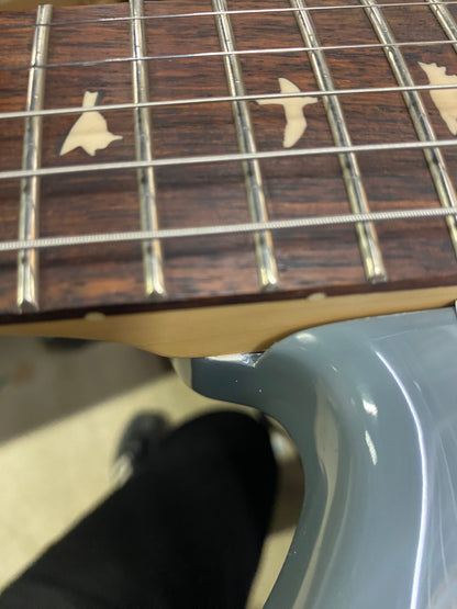 PRS SE Silver Sky Storm Gray