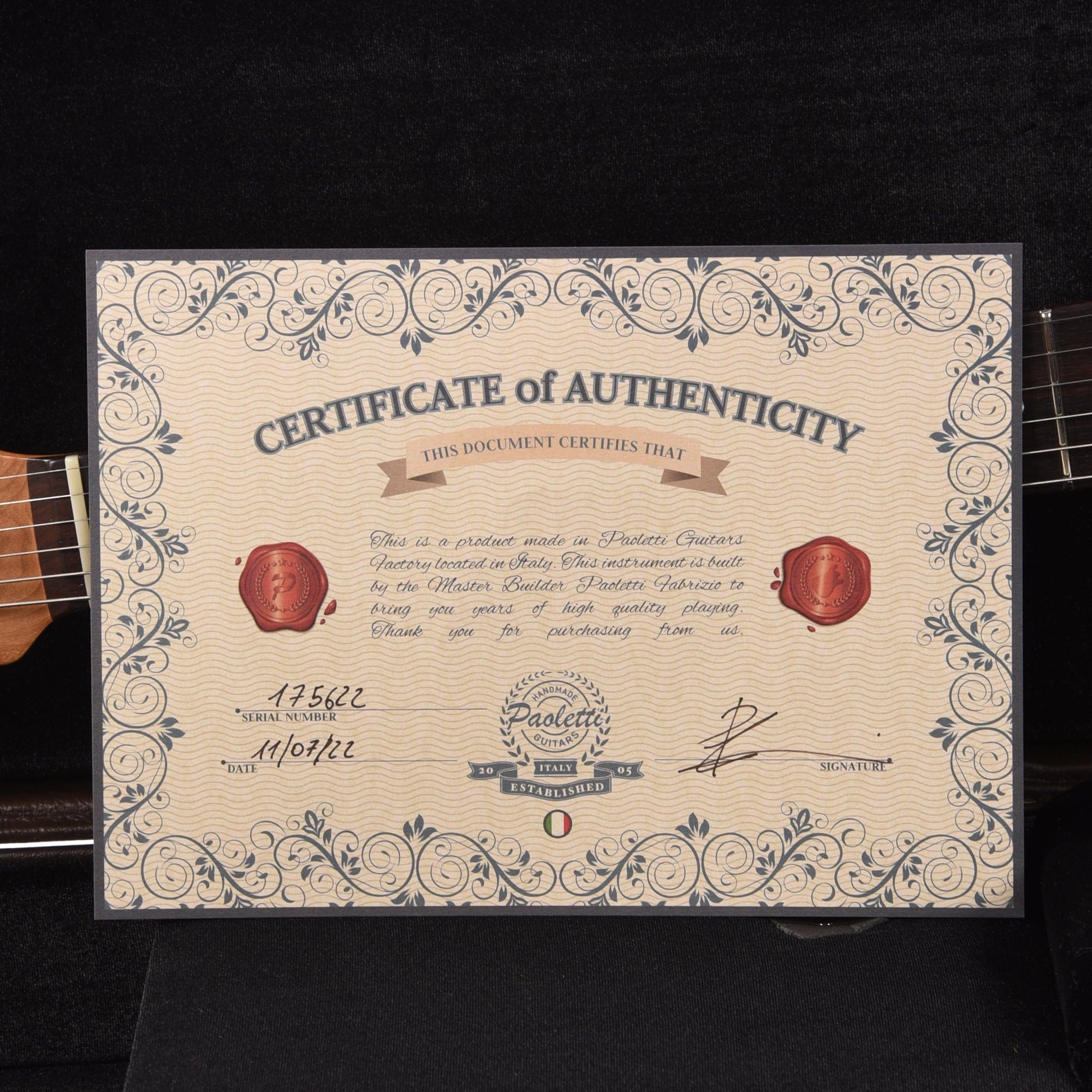 Paoletti Loft Series Nancy HS Heavy Sage Electric Guitars / Solid Body