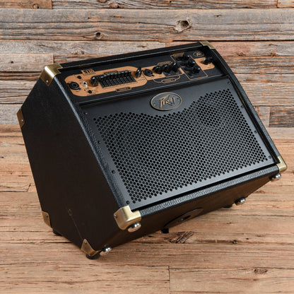 Peavey E110 Ecoustic 1x10" 100W Acoustic Guitar Combo Amp w/ Effects Amps / Guitar Combos